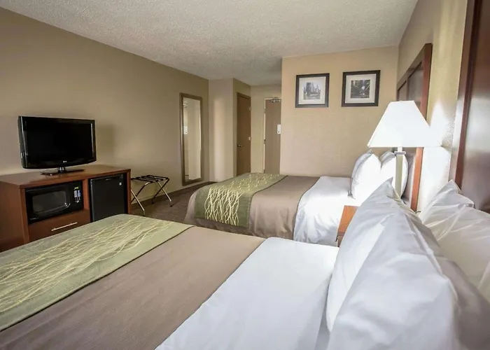 Comfort Inn Morris I-80